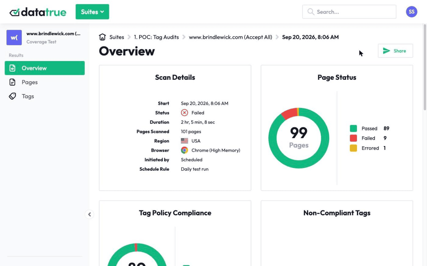 DataTrue scan overview showing scan details and page status for a scheduled daily coverage scan