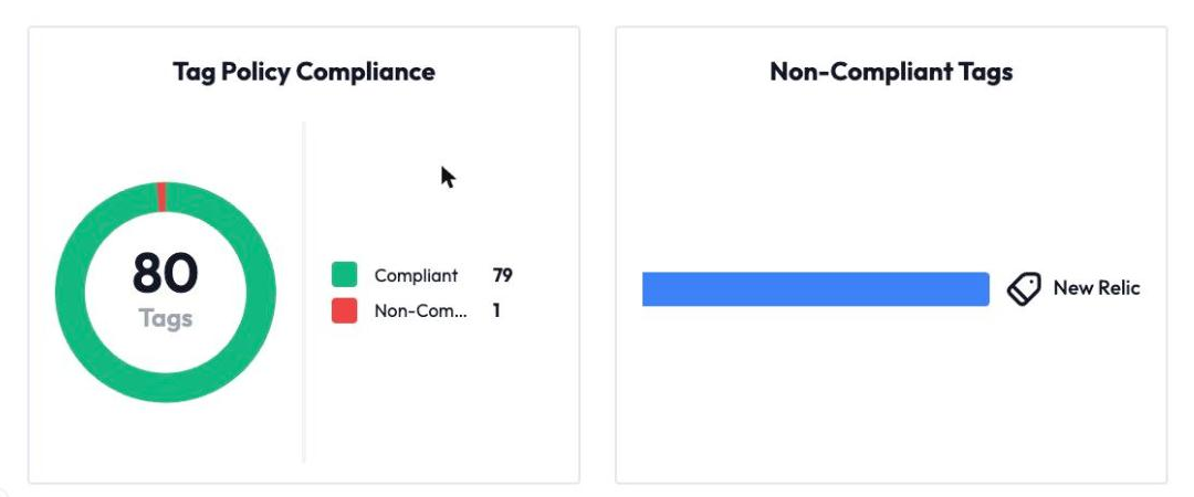 DataTrue tag policy compliance for a coverage scan: 79 of 80 tags comply with the policy, and the one non-compliant tag, New Relic, is listed.